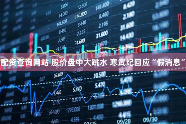 配资查询网站 股价盘中大跳水 寒武纪回应“假消息”