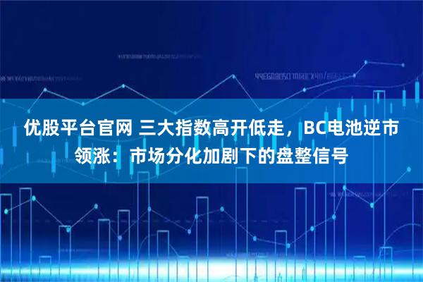 优股平台官网 三大指数高开低走，BC电池逆市领涨：市场分化加剧下的盘整信号